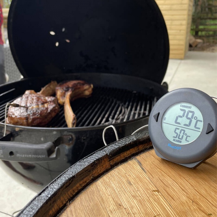 bluedot-bluetooth-thermometer (3)_6a0a6d51f028a022335187.jpg
